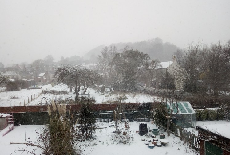 Snowy back view March 1 2018.