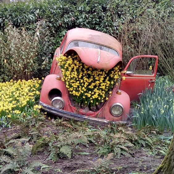 Beetle full of flowers