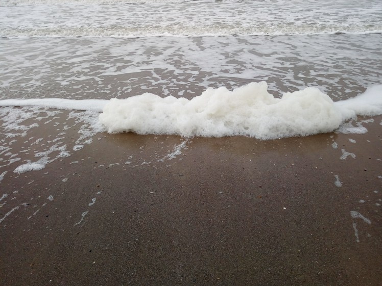 Sea foam Het Zwin 1 April 2018