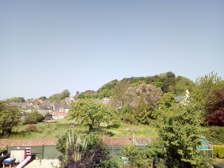 Towards Allington Hill Apple blossom over 19 May 2018