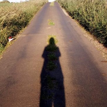 a shadow image of the author in the middle of a lane on the summer solstice