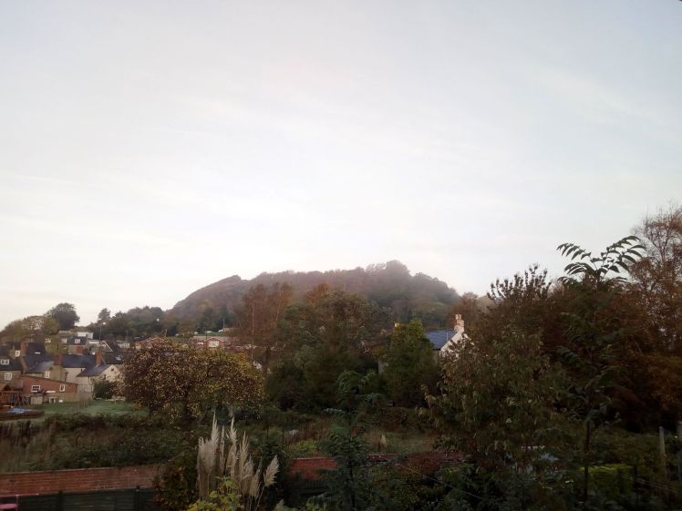 Allington Hill: misty early morning Sat 20 October 2018