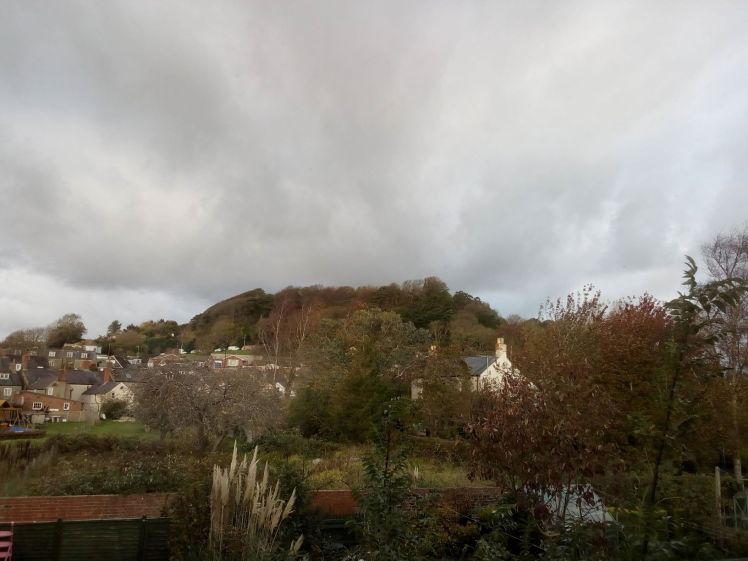 Allington Hill not quite undressed 3 November