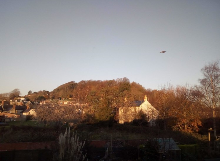 Allington Hill November morning