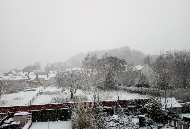 Allington Hill: March Snow