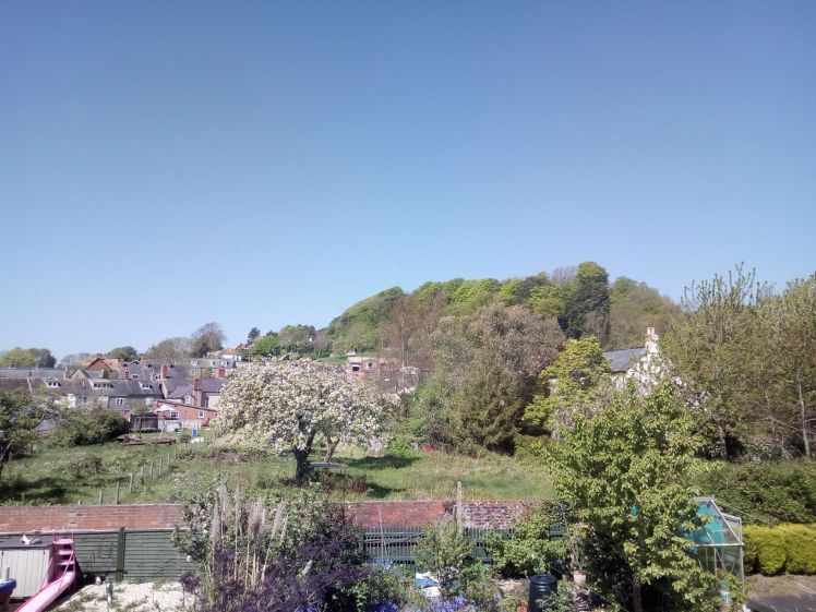 Apple Blossom in May