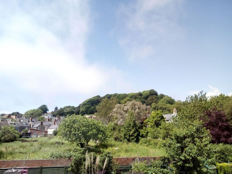 Fully dressed in June