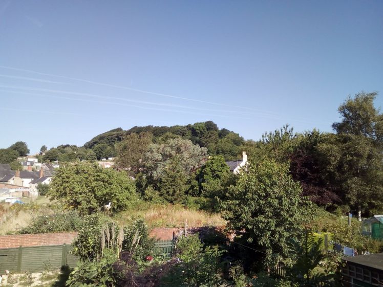 Allington Hill: Dry in July