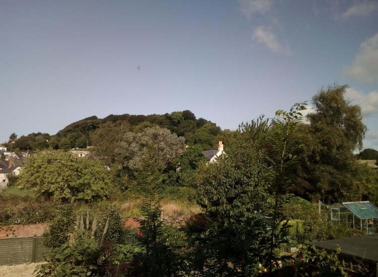 Allington Hill: Dark Green of August