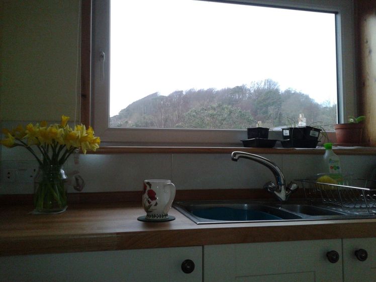 My Office on a tidy day in Spring