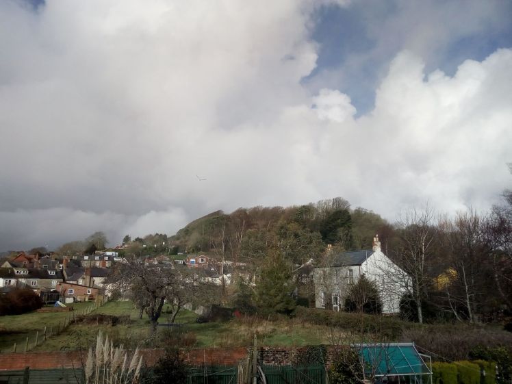 Bare trees March 16 2018