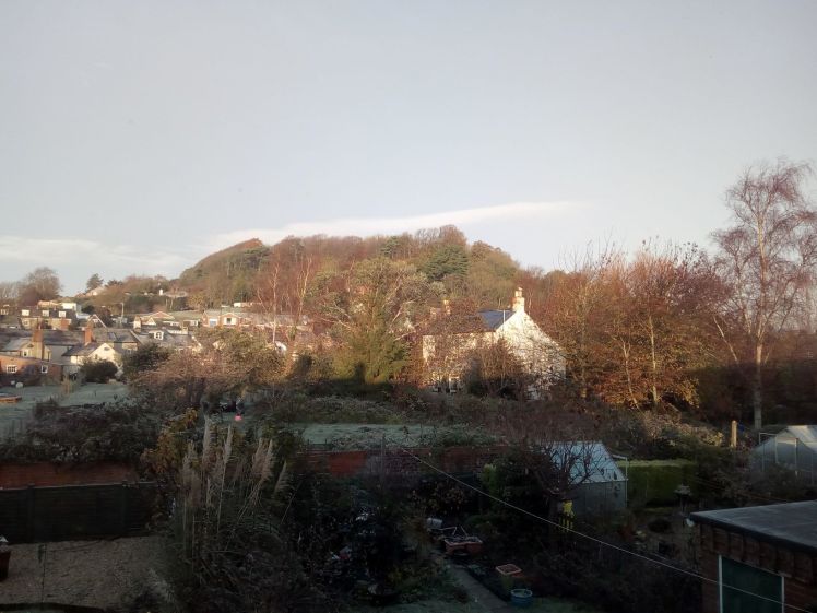 View of Allington Hill 14 November 2019 sunshine and fox