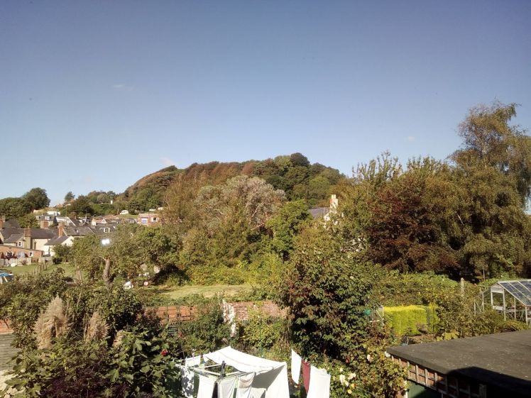 View of Allington Hill 14 September 2019