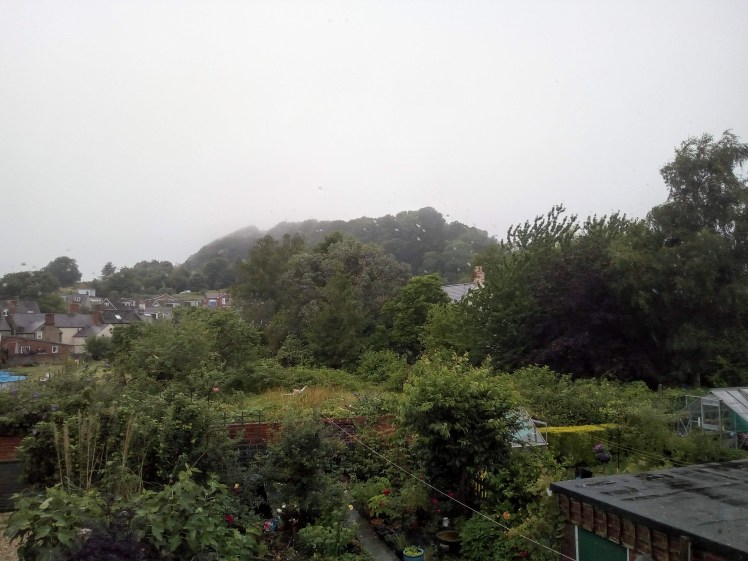 View of Allington Hill 19 July 2019