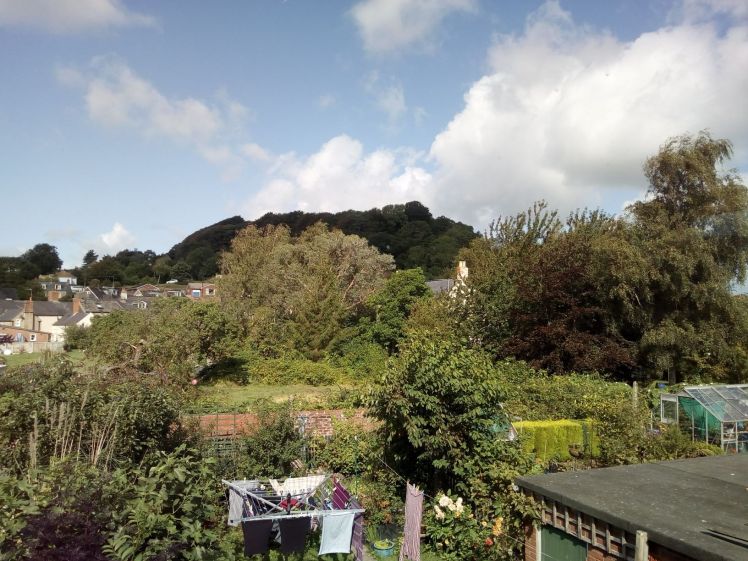 View of Allington Hill 20 August 2019