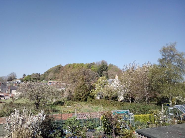 View of Allington Hill 21 April 2019