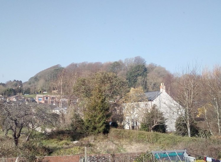 A view of Allington Hill 27 February 2019