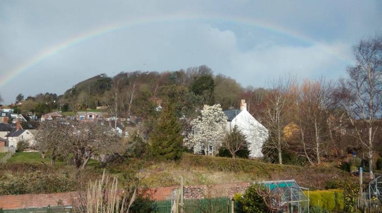 13 March 2019 Rainbow and Magnolia