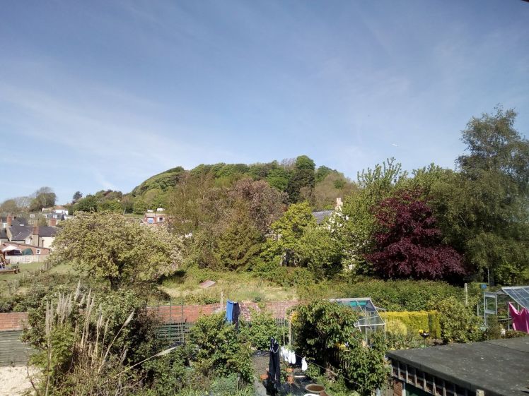 View of Allington Hill 13 May 2019
