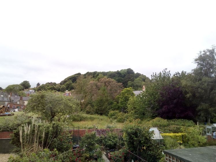 View of Allington Hill 11 June 2019