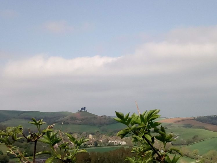 From top of AH looking West to Colmer's Hill