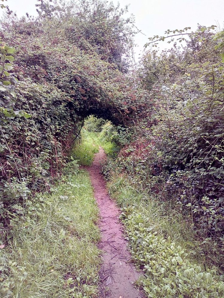 The Slightly Crooked Path to New Adventures